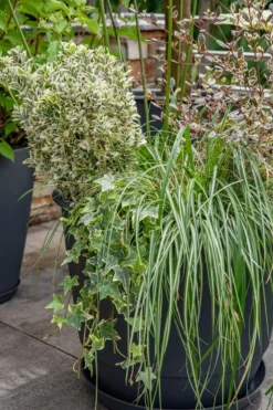 Soucoupe gris anthracite pour pot Poetic Joy 35 - Ø 26,6 x H 3,4 cm