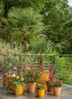 Soucoupe jaune tournesol pour pot Poetic Joy 60 - Ø 45,6 cm