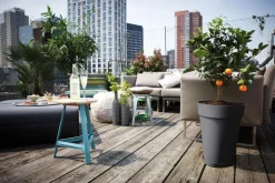 Soucoupe Loft urban Elho anthracite Ø 17 cm