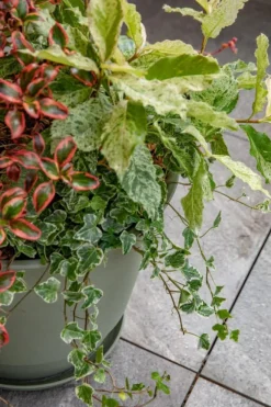 Soucoupe vert kaki pour pot Poetic Joy 40 - Ø 30 x H 3,8 cm