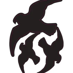 Stickers pour fenêtres anticollisions des oiseaux - lot de 3 silhouettes d'oiseaux