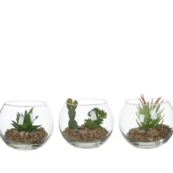 Succulente artificielle et bocal en verre 3 modèles H 8 cm x Ø 10 cm