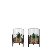 Succulente artificielle vert foncé en pot transparent sur pied - Ø 10,5 x H 13 cm