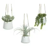 Succulente artificielle verte à suspendre pot blanc - Ø 30 cm