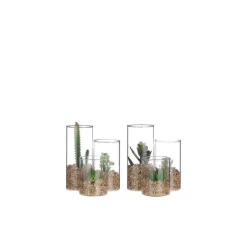 Succulente verte artificielle en pot transparent H 13 x Ø 11 cm
