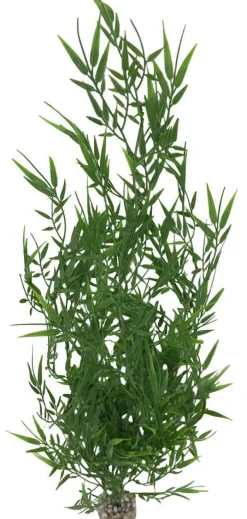 Suspension bambou verte en plastique 10 x 67 cm