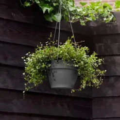 Suspension en plastique gris anthracite Elho Vibia Campana - ø 26 cm