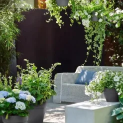 Suspension en plastique gris anthracite Elho Vibia Campana - ø 26 cm