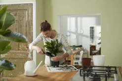 Système d'auto-arrosage Elho noir de 10 L Ø 28 cm