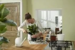 Système d’auto-arrosage en polypropylène noir Elho Self Watering insert - 33 cm