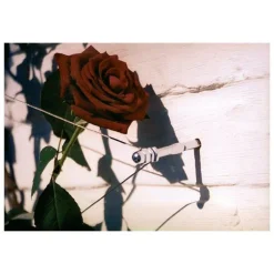 Système de palissage invisible Palissa, câble de 10 m