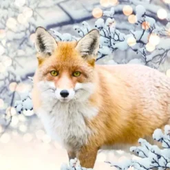 Tableau renard coloris orange impression digitale en toile - 80 x 80 cm