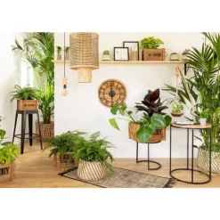 Tapis Axel 60 x 110 cm