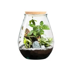 Terrarium autonome botanic® Darasa - Taille L Ø 29 cm H 35,5 cm
