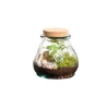 Terrarium autonome botanic® Bila Uso - Taille S Ø 12 cm H 12 cm