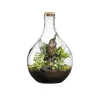 Terrarium autonome botanic® Suryio - Taille 12 L Ø 29 cm H 43 cm
