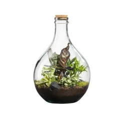 Terrarium autonome botanic® Suryio - Taille 12 L Ø 29 cm H 43 cm