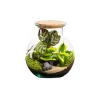 Terrarium autonome botanic® Havana Cala - Taille S Ø 19 cm H 20 cm