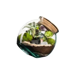 Terrarium autonome botanic® Kuego - Taille M Ø 19 cm H 19 cm