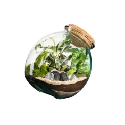 Terrarium autonome botanic® Kuego - Taille L Ø 26 cm H 26 cm