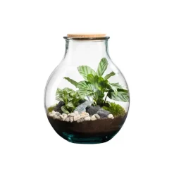 Terrarium autonome botanic® Mimea - 12 L Ø 21 cm H 25 cm
