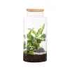 Terrarium autonome botanic® Jungle Classic - Taille L Ø 25 cm H 40 cm