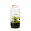 Terrarium Bonbonne en verre transparent Naturalys taille L - Ø 23 x 51 cm