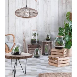 Terrarium Bonbonne M en verre transparent Ø 23 x H 41 cm