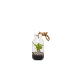 Terrarium Bottle S en verre à poser ou suspendre Ø 10 x H 18 cm