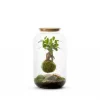 Terrarium Bulle de Nature suspension Mia Gin taille L - Ø 19 cm