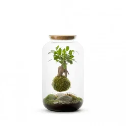 Terrarium Bulle de Nature suspension Mia Gin taille L - Ø 19 cm