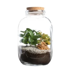 Terrarium Bulle de Nature Naka en verre transparent avec bouchon liège Naturalys - Ø 12,5 x 26 cm
