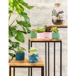 Terrarium Bulle de Nature Naka en verre transparent avec bouchon liège Naturalys - Ø 12,5 x 26 cm