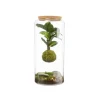 Terrarium Bulle de Nature suspension Mia Cala taille L - Ø 19 cm