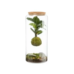 Terrarium Bulle de Nature suspension Mia Cala taille L - Ø 19 cm