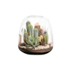 Terrarium cactés Moly Cactus - Taille L Ø 23,5 cm H 25 cm
