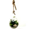Terrarium Drop en verre transparent à suspendre Naturalys taille L - Ø 20 x 40 cm