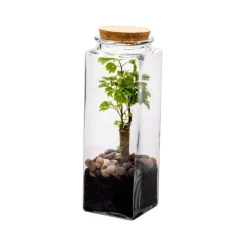 Terrarium quitto Bulle de Nature taille L Ø 10 x h 30 cm
