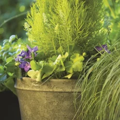 Terreau universel botanic®