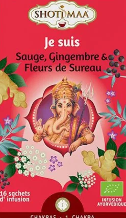 Thé Je suis Shoti Maa bio - 16 x 2 g
