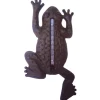Thermomètre en fonte grenouille 12x1,6x23,5 cm