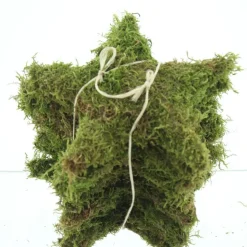 Étoile en mousse coloris vert – Ø 25 cm