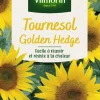 Tournesol Golder Hedge Vilmorin - graines à semer