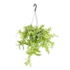Tradescantia Ivory Hill suspension Ø17xH35 cm