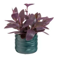 Tradescantia mix avec son cache-pot coloris rose - Ø 12 cm