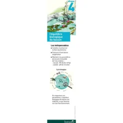 Traitement bassin contre vase et filament 180 gr