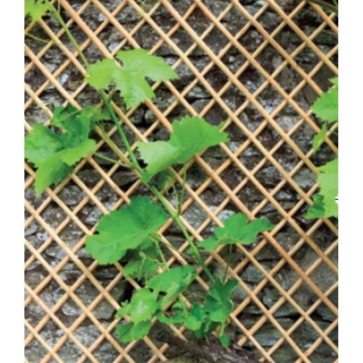 Treillis Wick Trellis en osier naturel, 100 x 200 cm