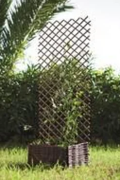 Trelliwillow trellis extensible en osier naturel - 100 x 200 cm