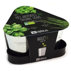 Trio de pots en zincs pour aromatiques Bio à semer 23x23x12 cm