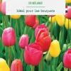 Tulipe en mélange botanic® - 10 bulbes